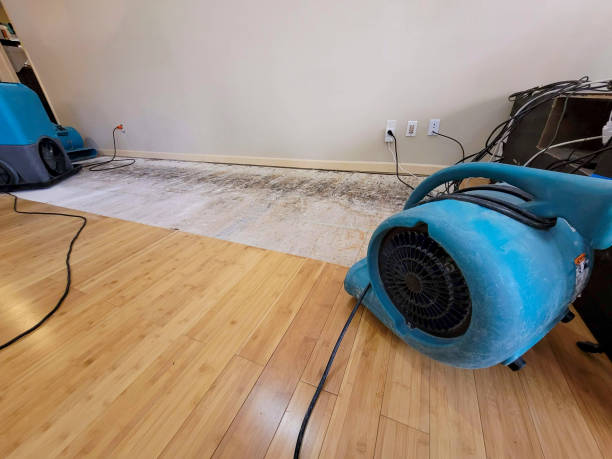 Professional Structural Drying technician working in Valley Spring, TX